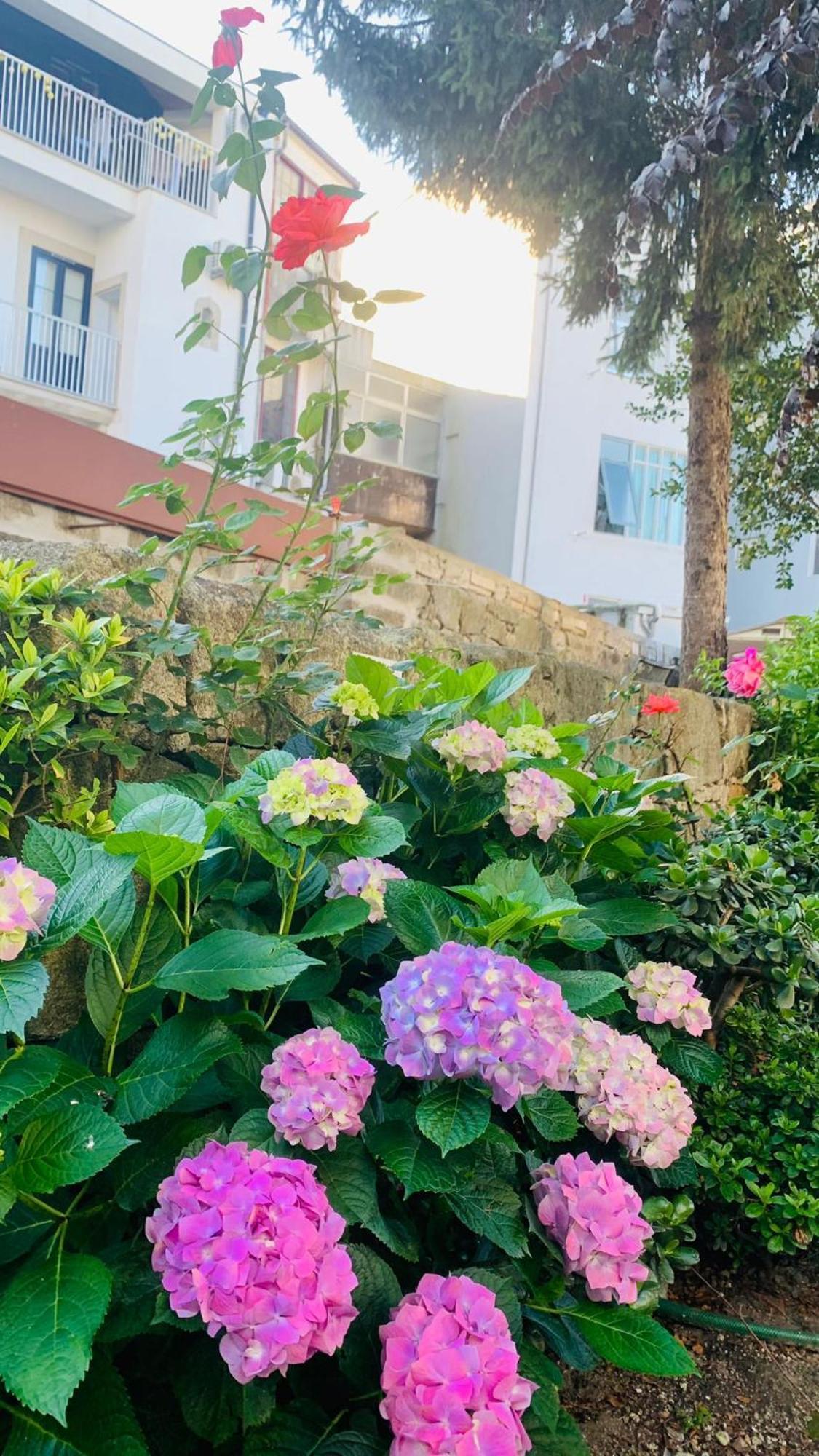 Invicta Porto Guest House Eksteriør bilde